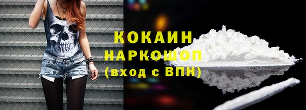 шишки Белоозёрский