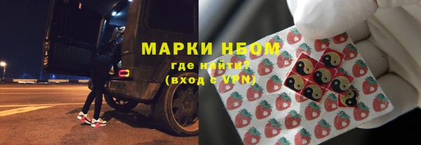 шишки Белоозёрский