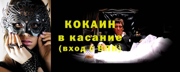 шишки Белоозёрский
