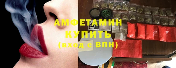 шишки Белоозёрский
