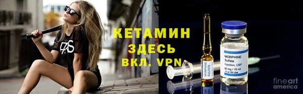 шишки Белоозёрский