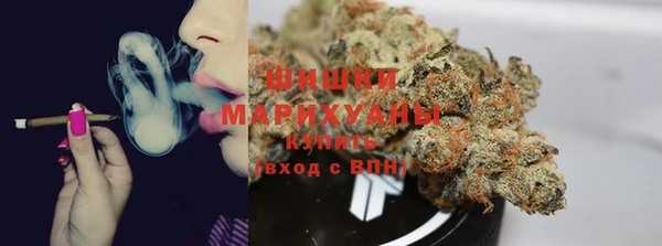 шишки Белоозёрский