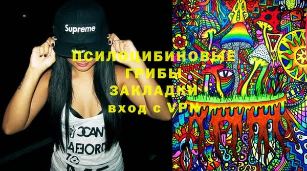 шишки Белоозёрский
